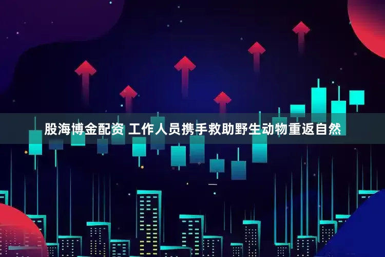 股海博金配资 工作人员携手救助野生动物重返自然