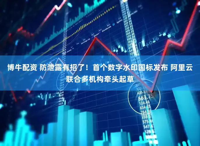 博牛配资 防泄露有招了！首个数字水印国标发布 阿里云联合多机构牵头起草