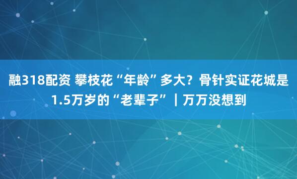 融318配资 攀枝花“年龄”多大？骨针实证花城是1.5万岁的“老辈子”｜万万没想到