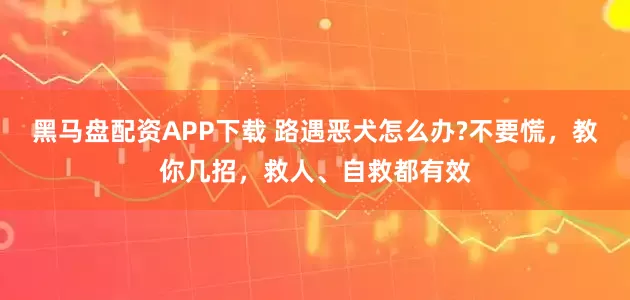 黑马盘配资APP下载 路遇恶犬怎么办?不要慌，教你几招，救人、自救都有效
